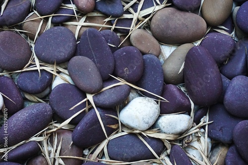 Fényképezés Closeup detail of smooth tumbled river rocks in multiple colors with scattered b