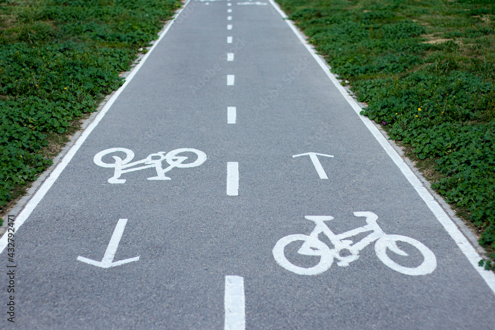 Obraz premium double bike lane with nature on both sides