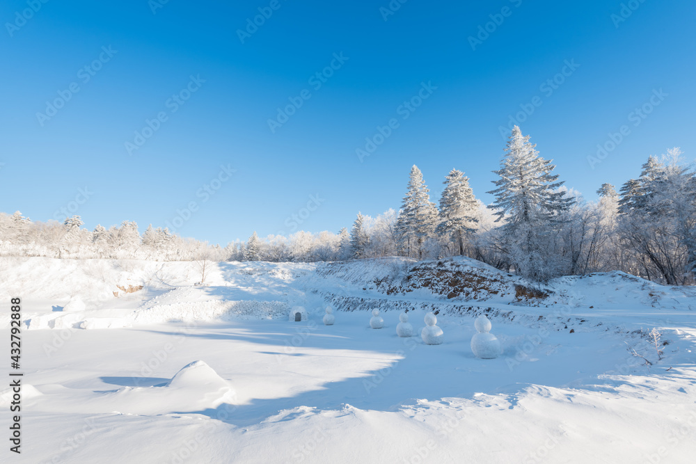 Obraz premium Snow and rime in winter in Changbai Mountain, Jilin Province, China