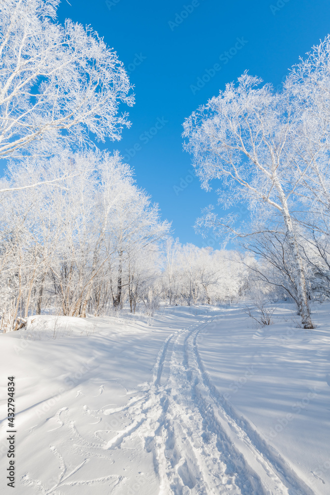Snow and rime in winter in Changbai Mountain, Jilin Province, China Snow and rime in winter in Changbai Mountain, Jilin Province, China