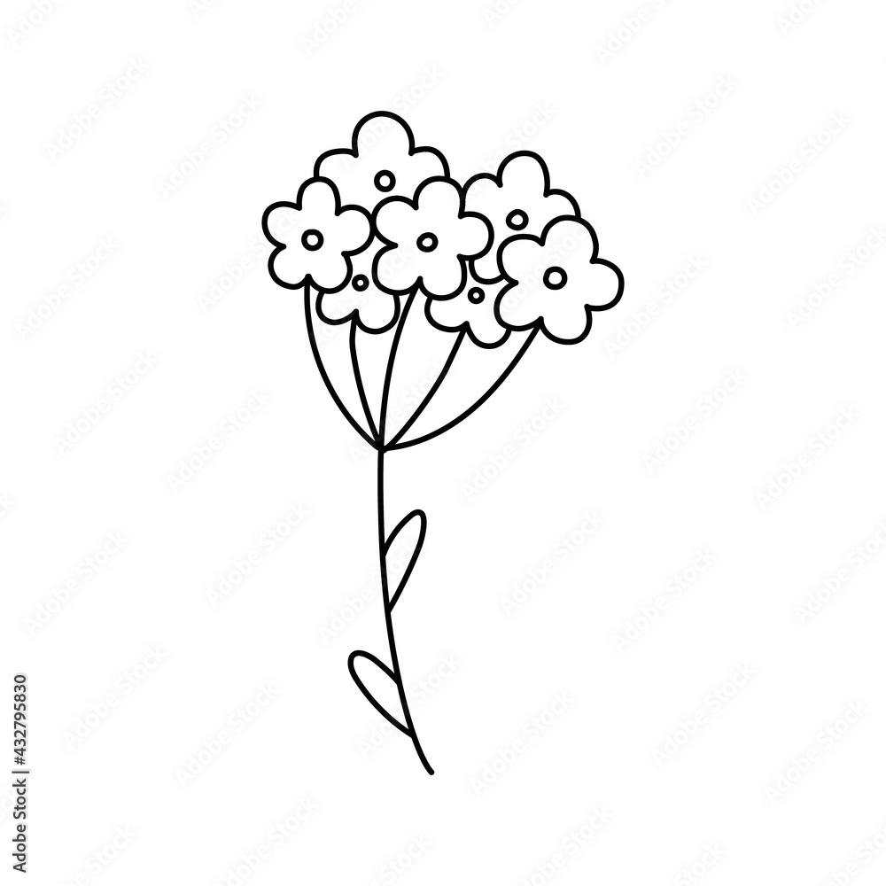 doodle with plants, flowers, grass, a bunch of inflorescences. Linear vector illustration. hand-drawn symbols and style objects . simple, black drawing for sticker, decor, postcard, coloring book