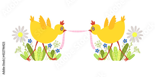 Two baby chicks fighting over a worm .Vector cute cartoon character isolated on white. Art print. 