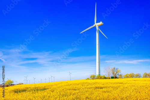 wind turbine in the field © frank peters