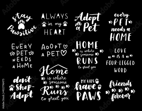 Pet adoption phrase black and white poster. Inspirational quotes about domestical pets adoption. Hand written phrases for poster, cat and dog adoption lettering. Adopt a pet.