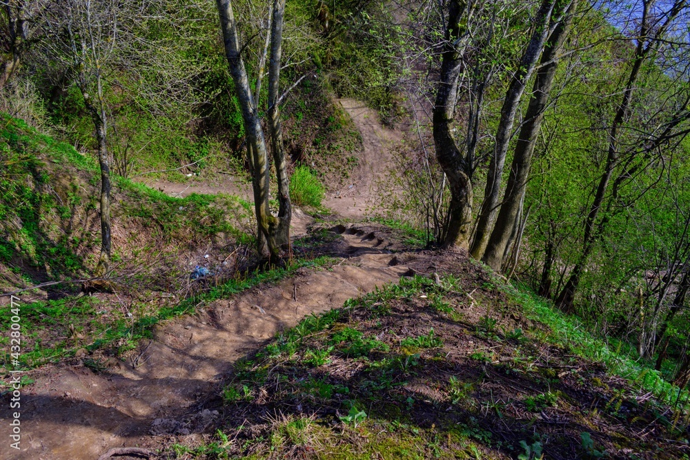 Steep dangerous descent to a cave in the forest Steep dangerous descent to a cave in the forest