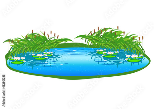 Fairy tale lake with reeds and beautiful water lilies. Vector illustration in cartoon style on a white background.