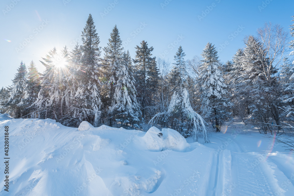 Fototapeta premium Snow and rime in winter in Changbai Mountain, Jilin Province, China
