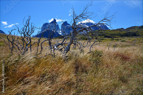 Torres del Paine National Park, Chile © Irina