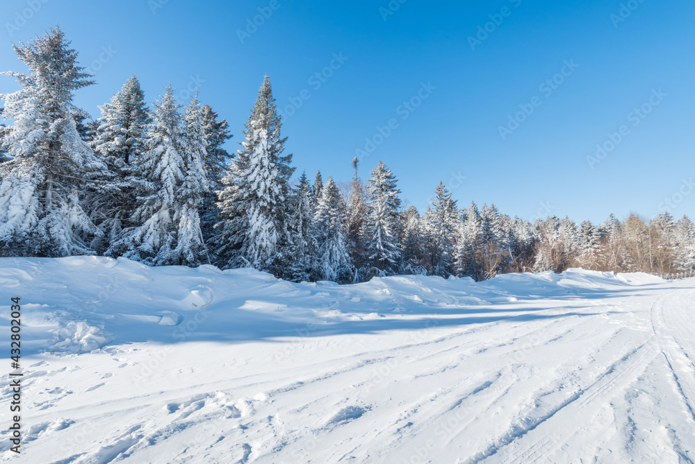 Snow and rime in winter in Changbai Mountain, Jilin Province, China Snow and rime in winter in Changbai Mountain, Jilin Province, China