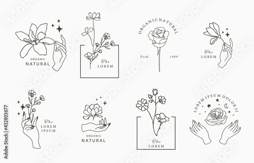 Beauty occult collection with geometric,magnolia,rose,moon,star,flower.Vector illustration for icon,sticker,printable and tattoo