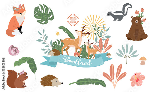 Cute woodland object collection with bear skunk fox deer mushroom and leaves.Vector illustration for icon sticker printable
