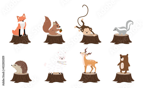 Cute woodland object collection with skunk,bear,fox,deer,stump and leaves.Vector illustration for icon,sticker,printable