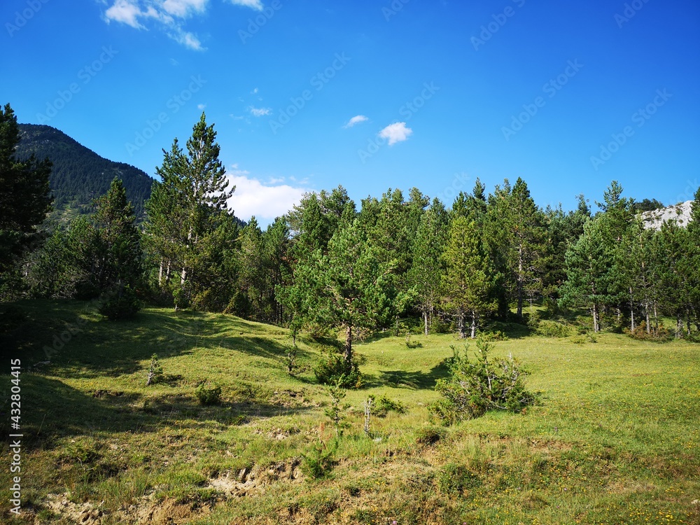 paisaje, naturaleza, campa, césped, cielo, dehesa, verde, montagna, agricultura, verano, campo, campesina, árbol, panorama, chacras, cerro, bosque, azul, campestre, montagna, nube, nube, bergueda paisaje, naturaleza, campa, césped, cielo, dehesa, verde, montagna, agricultura, verano, campo, campesina, árbol, panorama, chacras, cerro, bosque, azul, campestre, montagna, nube, nube, bergueda