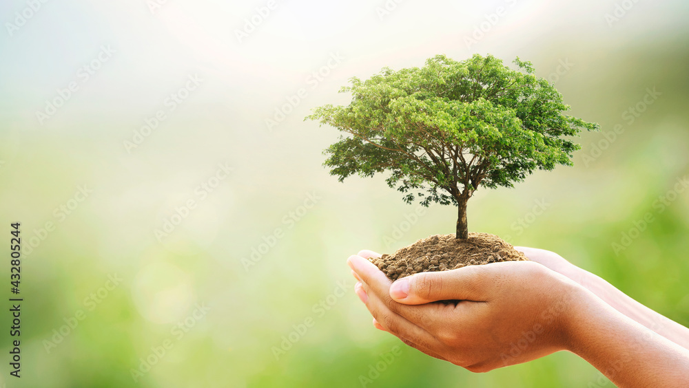 eco earth day concept. hand holdig big tree growing on green background - obrazy, fototapety, plakaty 