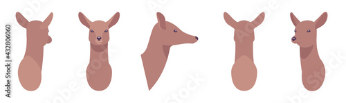 Animal mask roe head, faux taxidermy gallery wall mount decor. Hunting trophy, zoo museum hanging, cute avatar. Vector flat style cartoon illustration isolated on white background, different views