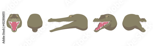 Animal mask crocodile head, faux taxidermy gallery wall mount decor. Hunting trophy, zoo museum hanging, cute avatar. Vector flat style cartoon illustration isolated, white background, different views