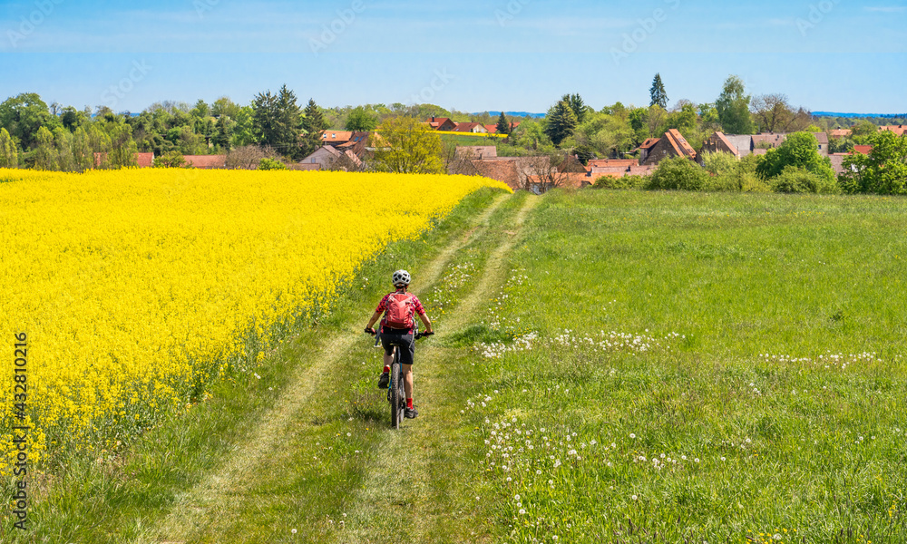 nice and remained young senior woman on electric mountain bike between rapeseed fields in the Kraichgau area near Zaberfeld, Baden-Württemberg, Germany nice and remained young senior woman on electric mountain bike between rapeseed fields in the Kraichgau area near Zaberfeld, Baden-Württemberg, Germany