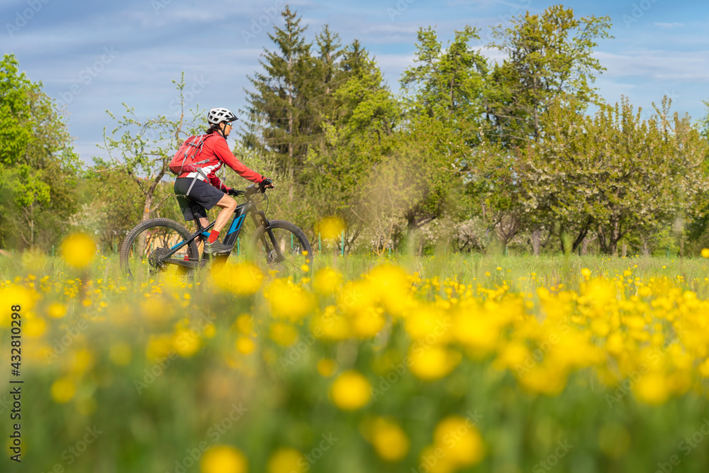 Fototapeta premium nice senior woman on electric bicycle in a meadow with yellow blooming spring flowers near Stuttgart, Germany