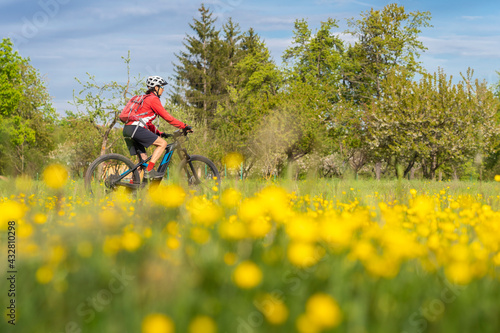 nice senior woman on electric bicycle in a meadow with yellow blooming spring flowers near Stuttgart, Germany