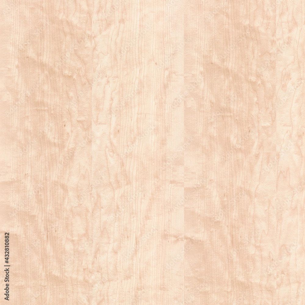 Obraz premium Maple Oiled Wood Texture