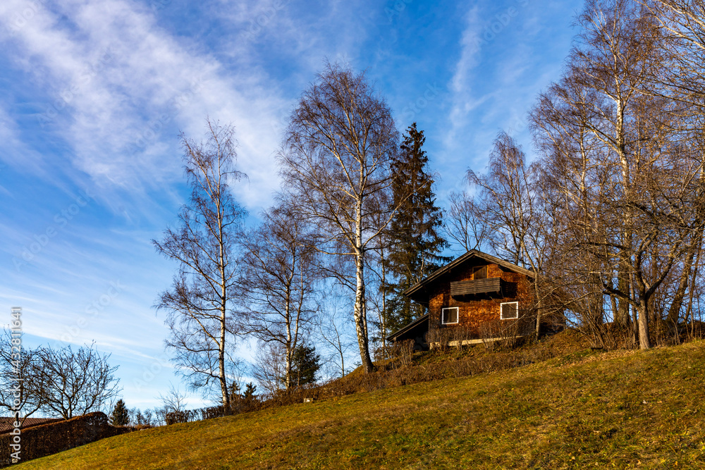 old house in the forest old house in the forest