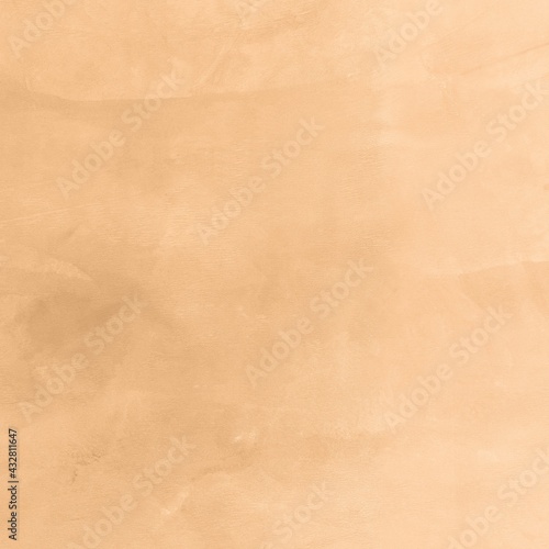 Wallpaper Mural Natural Beige Plaster Texture Torontodigital.ca