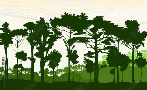 Deciduous forest. Silhouette. Mature, spreading trees. Thick thickets. Hills overgrown with plants. The sky is stylized with wood grain. Vector