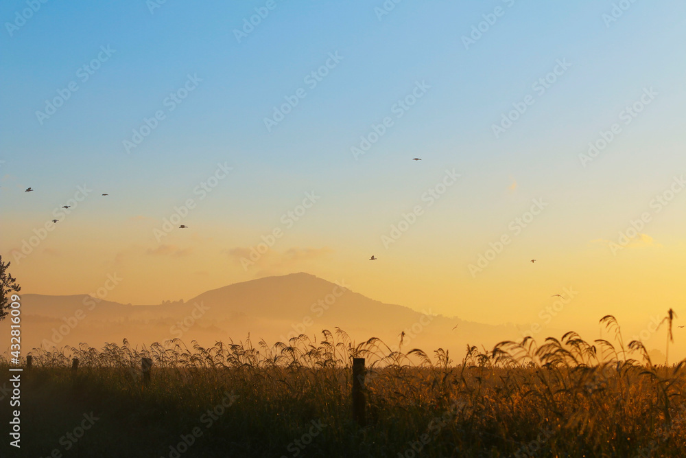 Beautiful crisp morning sunrise on the farm in Howick, Kwazulu Natal