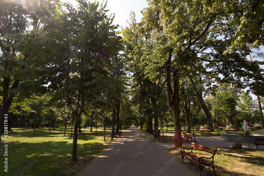 Main alley, a paved path, of the Gradski park, also called city park, in Pancevo, serbia, surrounded by high trees and benches. It is a typical public park of Europe...