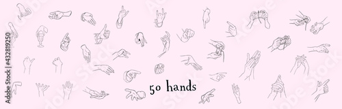 50 different hands on a pastel background. Gestures, waving hands, shaking hands, fingers, signs.