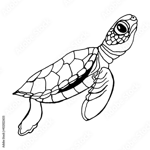 Sea turtle black contour doodle vector EPS