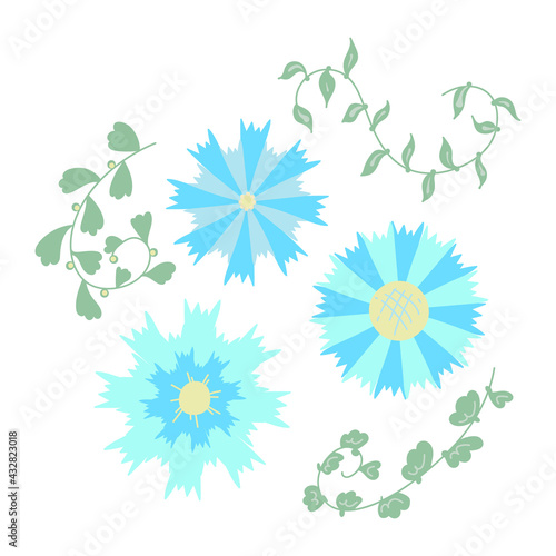  Collection of blooming flowers isolated on white background. Bundle of flowers used in floristry. Set of decorative floral design elements. Flat cartoon colorful botanical vector illustration.