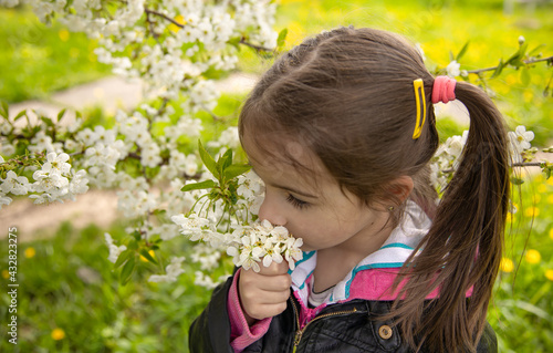 Close-up of a little girl sniffing a blossoming tree branch.