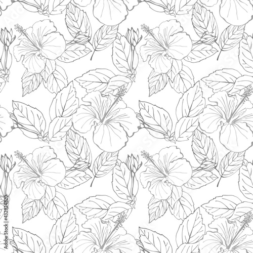 Fototapeta Naklejka Na Ścianę i Meble -  Hibiscus flower seamless pattern. Hand drawn sketch style. Line art. Mallow Chinese Rose. Herbal tea. Hawaii. Tropical background for paper, textile, wrapping and wallpaper.