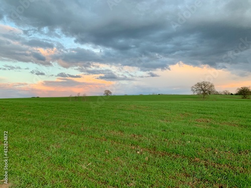 field and blue sky