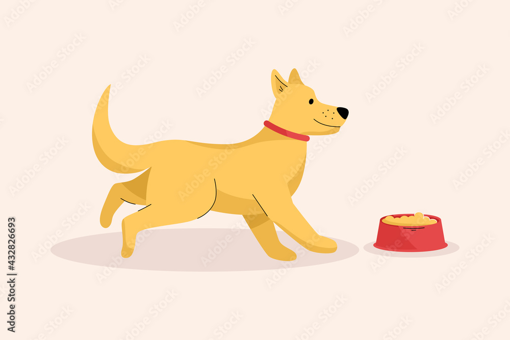 Happy cute dog runs to his bowl of food. Hungry puppy feeding Happy cute dog runs to his bowl of food. Hungry puppy feeding