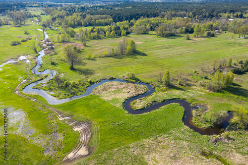 Obraz na płótnie Łosie Łąki nad rzeką Rządzą w salonie