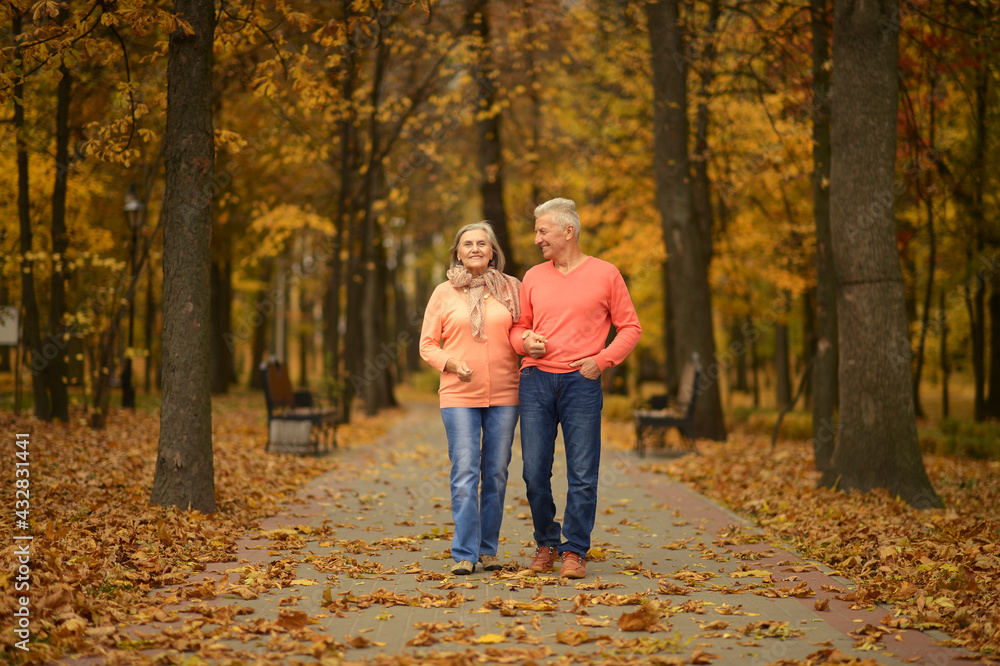 beautiful senior couple walking in park beautiful senior couple walking in park