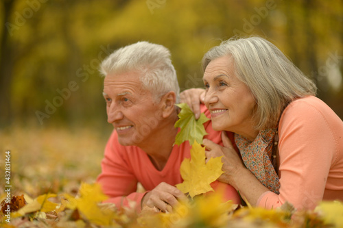  beautiful senior couple relaxing in park