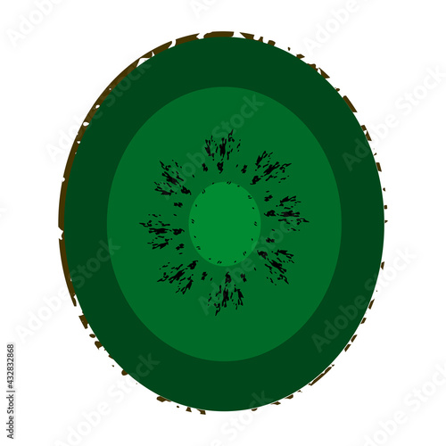 Green kiwi textured element on white background. Isolated stock vector illustration. Sliced kiwi fruit.