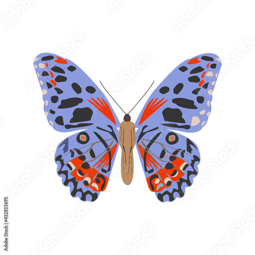 Multi-colored butterfly. Print for clothing or any other product. Vector illustration on white background