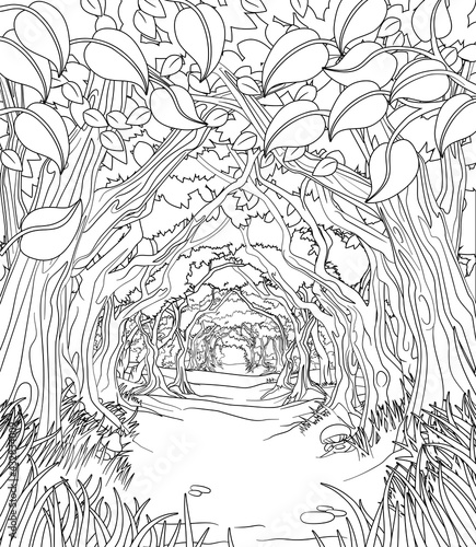 Woodland Forest Trees Path Coloring Book Scene