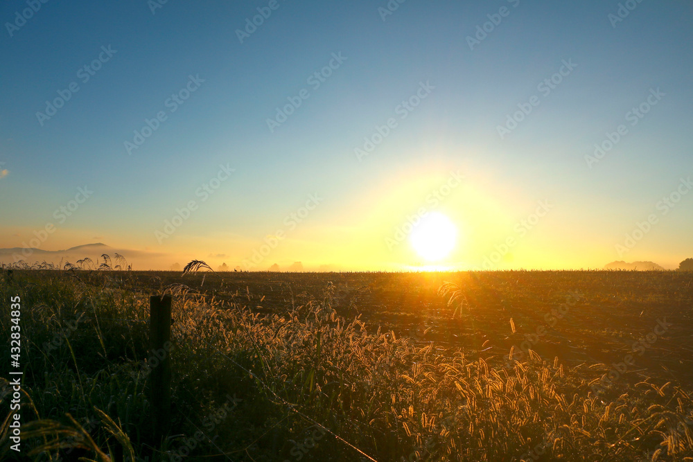 Sunrise over the fence on the farm Sunrise over the fence on the farm