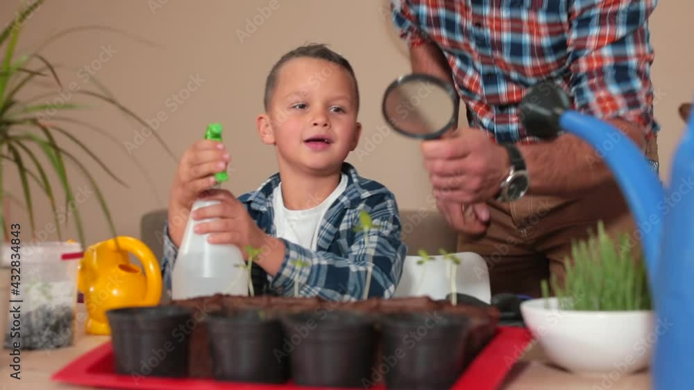 The adolescent allows water to flow to the plants. Dad looks through a magnifying glass. Teaching botany at home. The adolescent allows water to flow to the plants. Dad looks through a magnifying glass. Teaching botany at home.