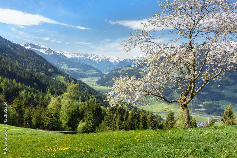 Blick ins frühlingshafte Zillertal in Tirol Blick ins frühlingshafte Zillertal in Tirol