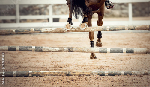 The horse overcomes an obstacle. Equestrian sport  jumping. Overcome obstacles.