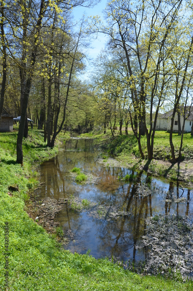 Kurozwęki , w Kurozwękach , Polska Kurozwęki , Polska , Kurozwęki wiosną