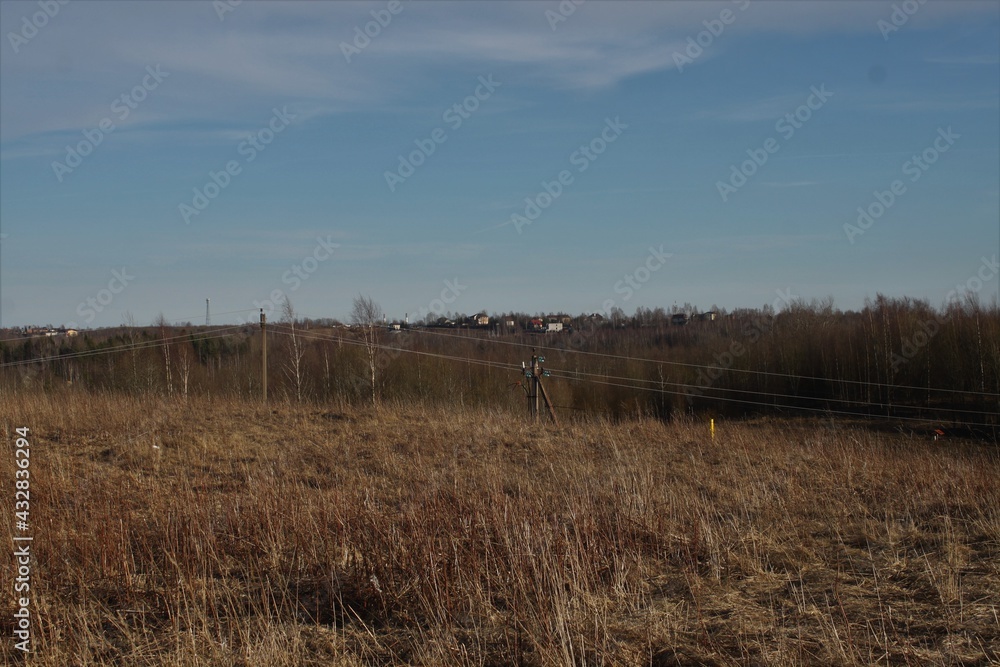 Obraz premium grass and sky