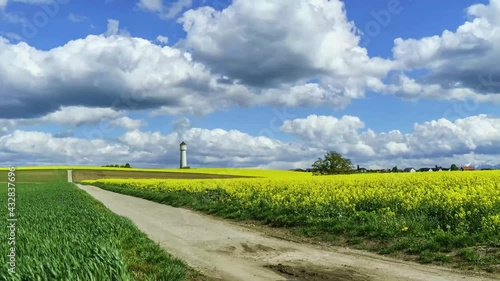 time lapse d'un phare chateau d'eau se dresse dans un ciel bleu avec un passage de gros nuages au-dessus d'un magnifique champ de colza jaune au soleil