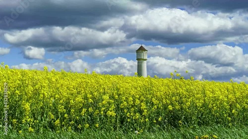 time lapse d'un phare chateau d'eau qui sort d'un champ de colza jaune au soleil avec dans le ciel de gros nuages blanc qui se déplacent